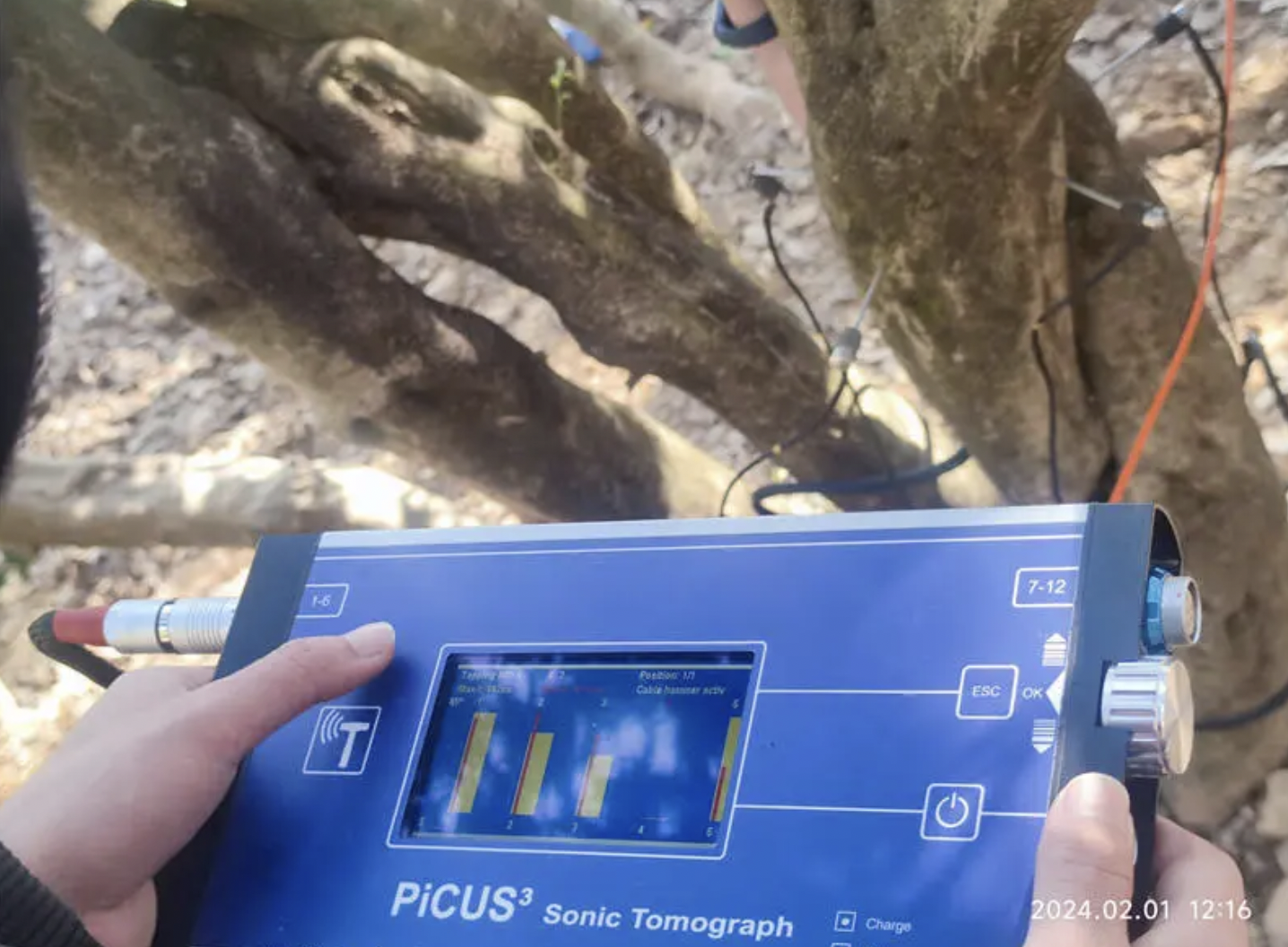 原標題：昆明首次對小葉種古茶樹進行“雷達體檢”