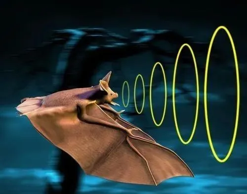 從超聲波到雷達到相控陣雷達 雷達技術一路升級打怪